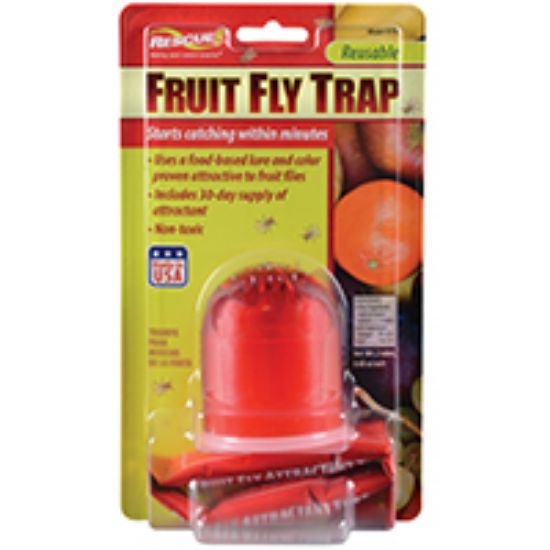 Picture of Fruit-fly Trap With Bait