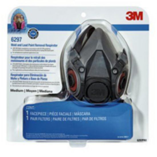 Picture of Lead-Paint-Removal Respirator