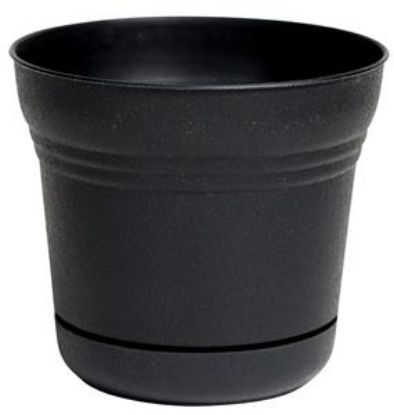 Picture of Plant-Pot Saturn