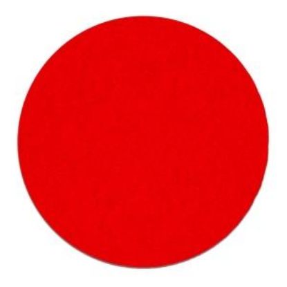 Picture of Sanding-Disc Drywall 9"