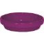 Picture of Plant-Saucer Clay Violet 4"