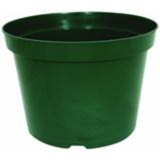 Picture of Plant-Pot 6" Green Grower