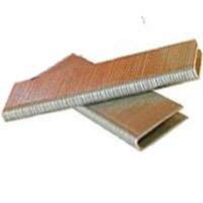 Picture of 5M CT 1/4 x 7/8 Staple