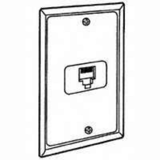 Picture of C249-I Flush-Mount WALLPLATE-IV