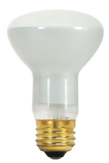 Picture of Light-Bulb Reflector R-20 Flood