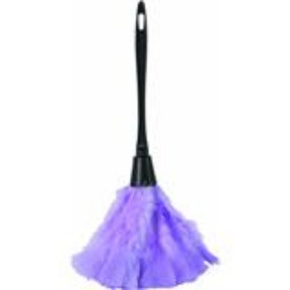 Picture of Feather Wand-Duster