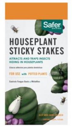Picture of Sticky Plant Stakes Houseplant Insect Control Pack/7