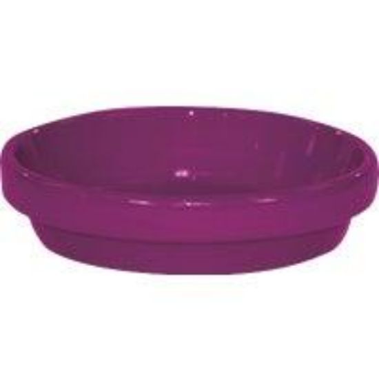 Picture of Plant-Saucer Clay Violet 8"
