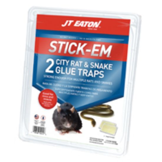 Picture of Mouse-trap Glue-trap City Rat/snake