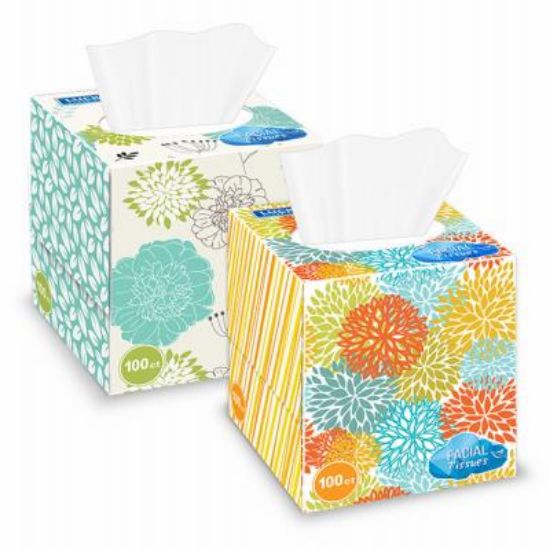 Picture of Facial-tissue Unscented 100-count