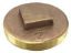 Picture of 1.500" Clean-Out-Plug Raised Head