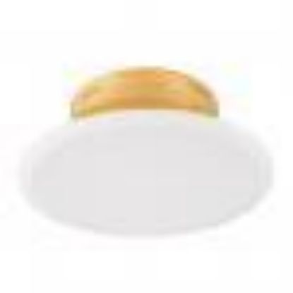 Picture of Fire-sprinkler Head Concealed Cover 3-1/4"-od 1-7/8"-id