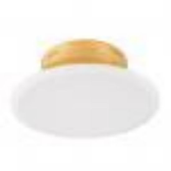 Picture of Fire-sprinkler Head Concealed Cover 3-1/4"-od 1-7/8"-id