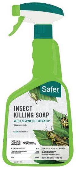 Picture of Insect Soap