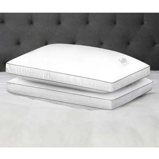 Picture of Pillow Down-alternative Queen-size Twin-pack