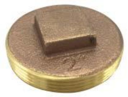 Picture of 5" Clean-Out-Plug Raised-Head