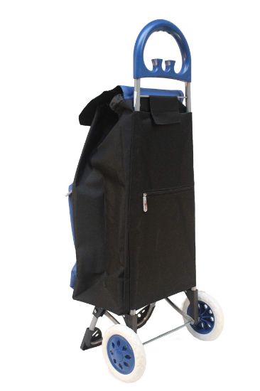 Picture of Shopping-Cart Canvas