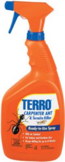 Picture of Termite/Ant