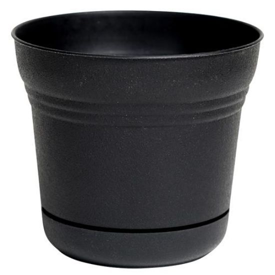 Picture of Plant-pot Plastic Integrated-saucer Black 12"