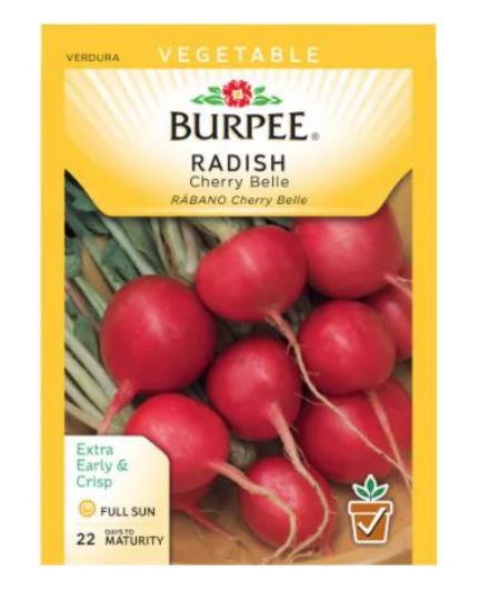 Picture of Cherry Belle Radish Seeds