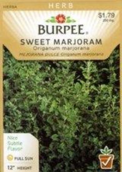 Picture of Sweet Marjorum Seeds