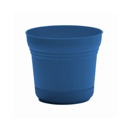 Picture of Plant-pot Plastic Integrated-saucer Classic-blue 5"