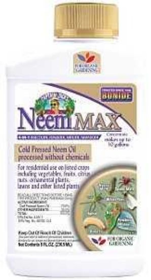 Picture of Neem-oil 70%