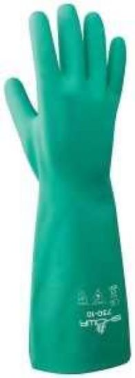 Picture of Disposable-Gloves 730-10.rt Green