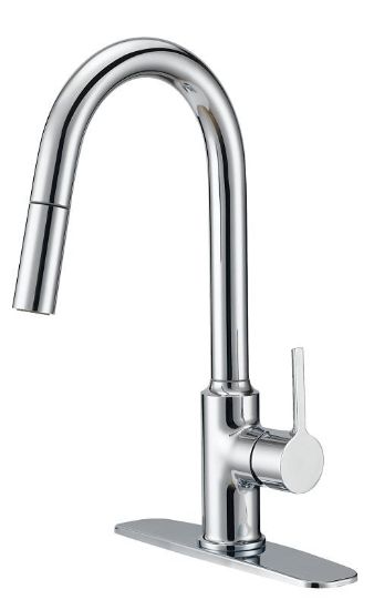 Picture of Kitchen Faucet, Pull-down 1.8-gpm Chrome-plate