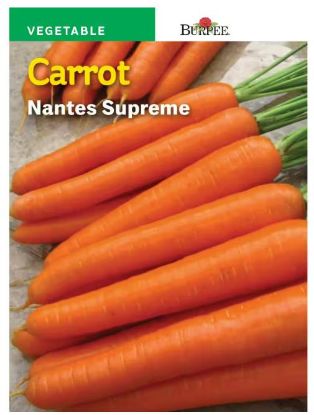 Picture of Carrot Nantes Supreme