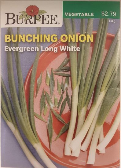 Picture of Bunching Onion Seeds