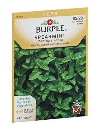 Picture of Spearmint Seeds