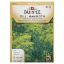 Picture of Mammoth Dill Seeds