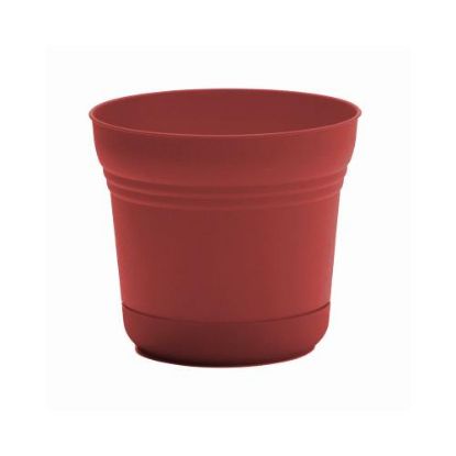 Picture of Plant-pot Plastic Integrated-saucer Burnt-red 10"