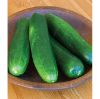 Picture of Cucumber Burpless Beauty