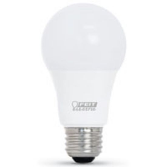 Picture of Light-Bulb A-19
