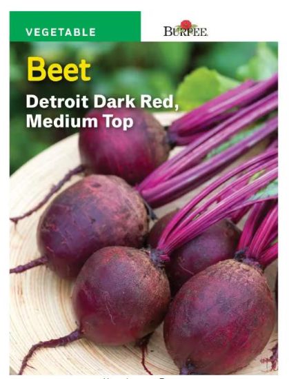 Picture of Detroit Dark Red Beet Seeds