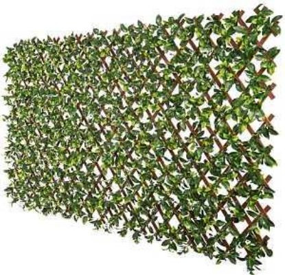 Picture of Privacy-screen Leafy Green Trellis 36" X 72"
