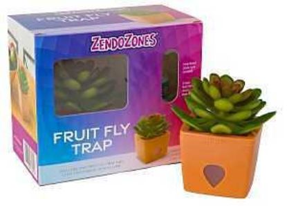 Picture of Fruit-fly Trap Serene-sandy