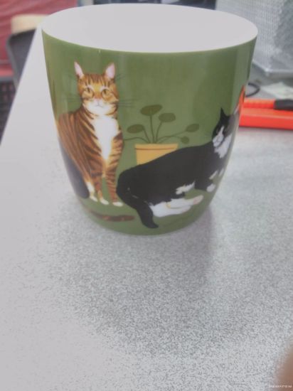 Picture of Cat Collective Porcelain Mug