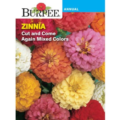 Picture of Mixed Colors Zinnia Seeds