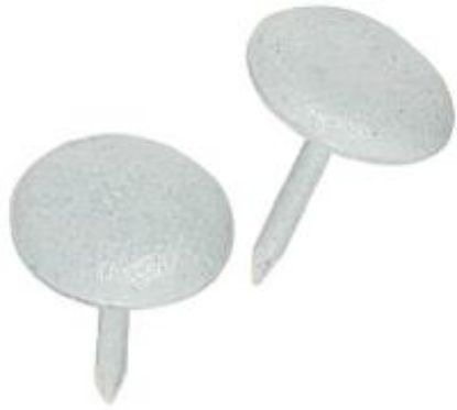 Picture of Upholstery-Nail White