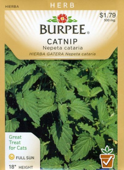 Picture of Catnip Seeds