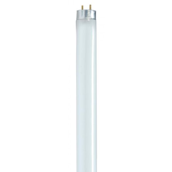 Picture of Satco F17t8/841/env Medium Bi-pin Base