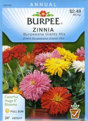 Picture of Zinnia Burpeeana Gta Mix