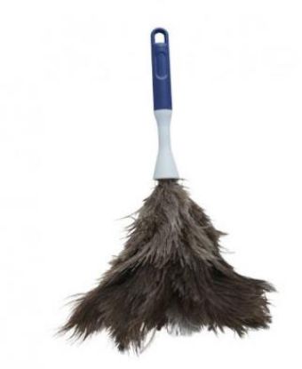 Picture of Feather Duster Wood Handle
