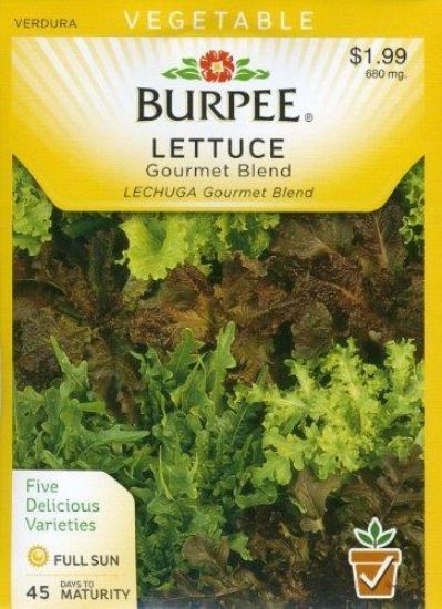 Picture of Lettuce Gourmet Blend Seeds