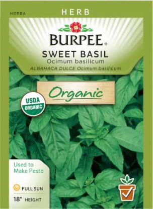 Picture of Organic Sweet Basil Seeds Organic